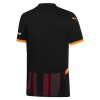 Original Fußballtrikot Galatasaray Ausweichtrikot 2024-25 Für Herren